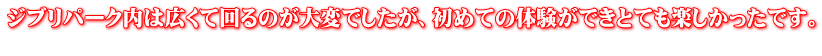 ジブリパーク内は広くて回るのが大変でしたが、初めての体験ができとても楽しかったです。 